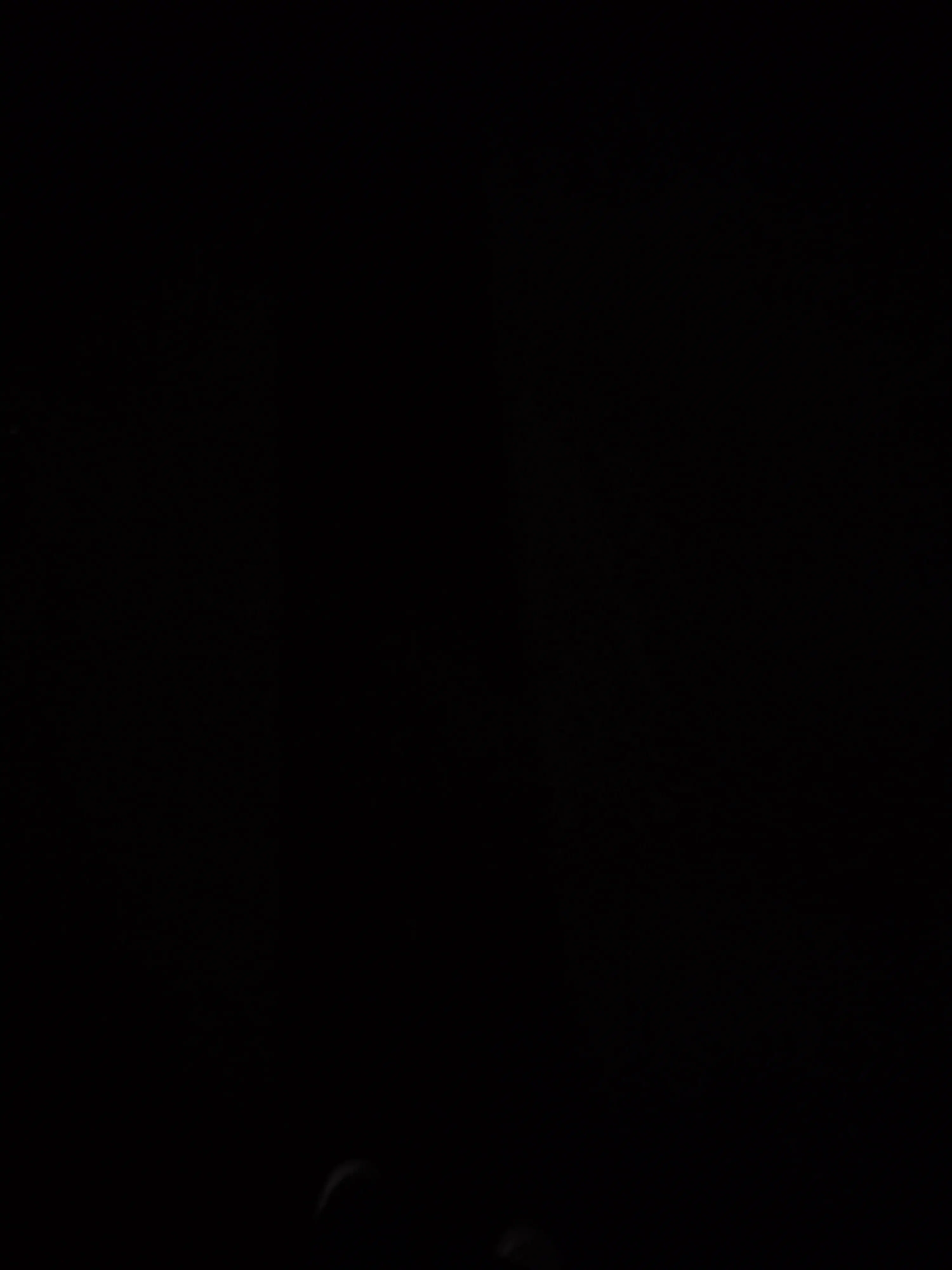 AmusedEmu5207의 술먹고 늦어버렸다