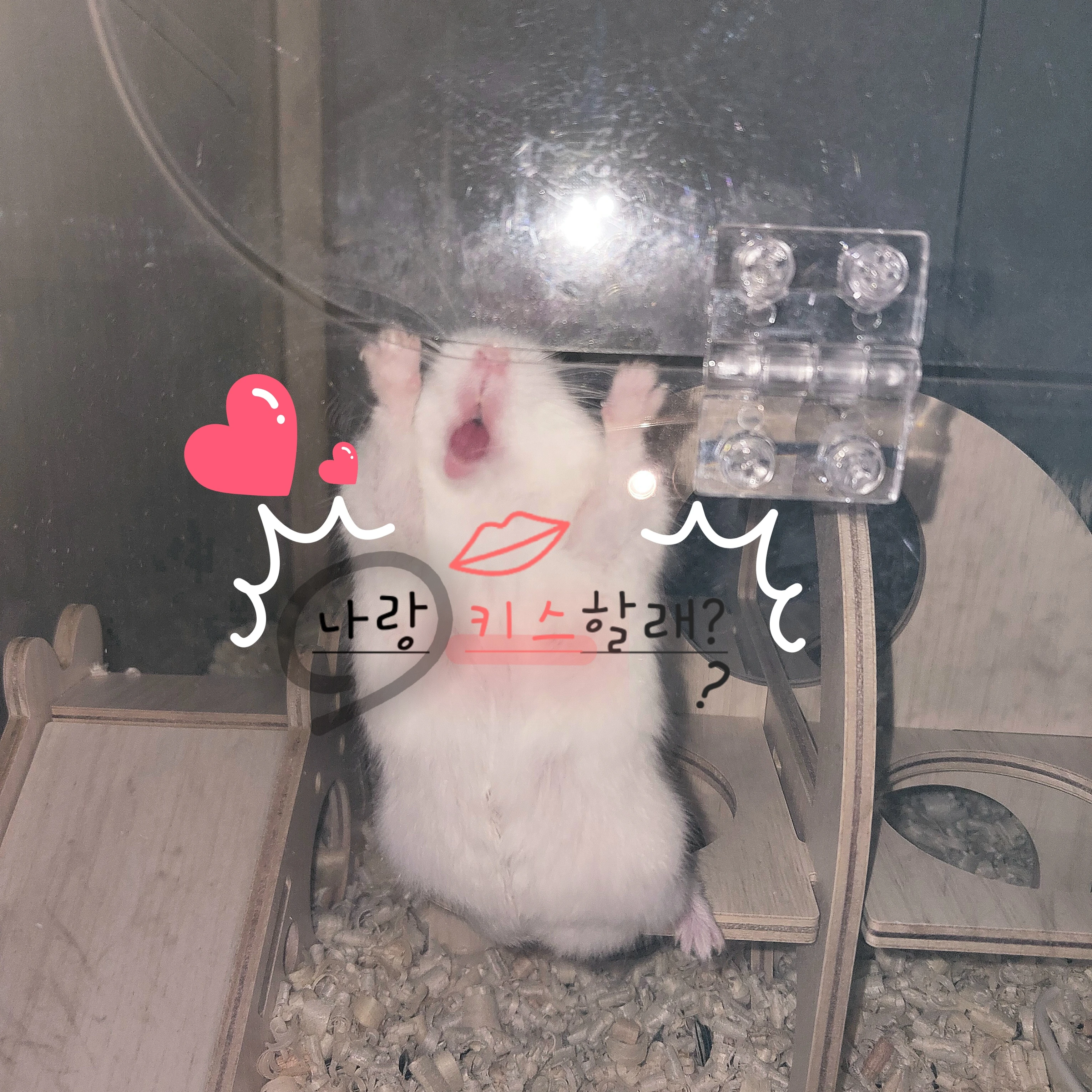 권순영