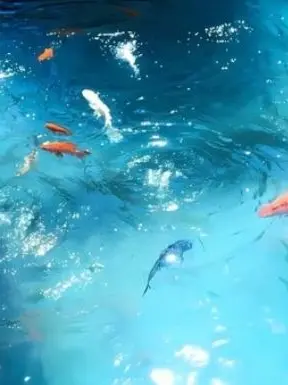 ringsShark의 おかしくなりそう
