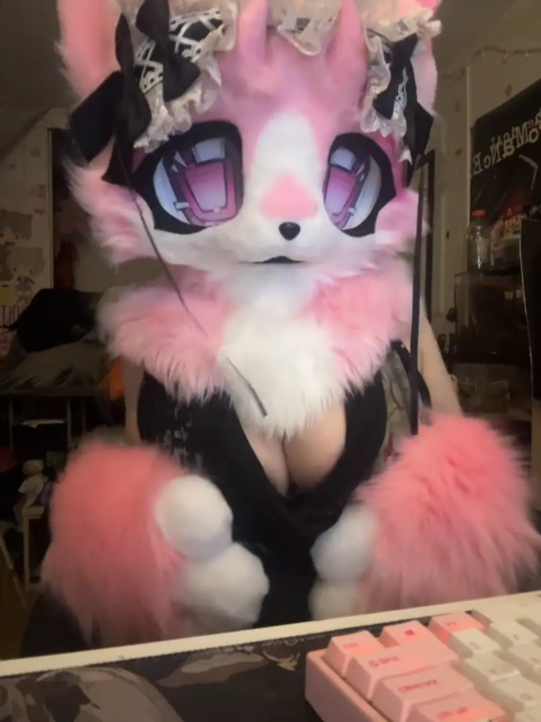 zenposted의 furry roommate in university