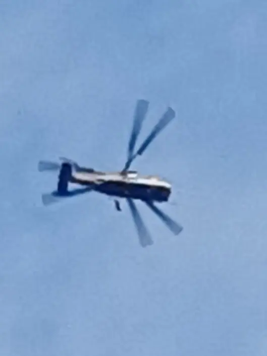 YeastySteel0991의 주토피아2