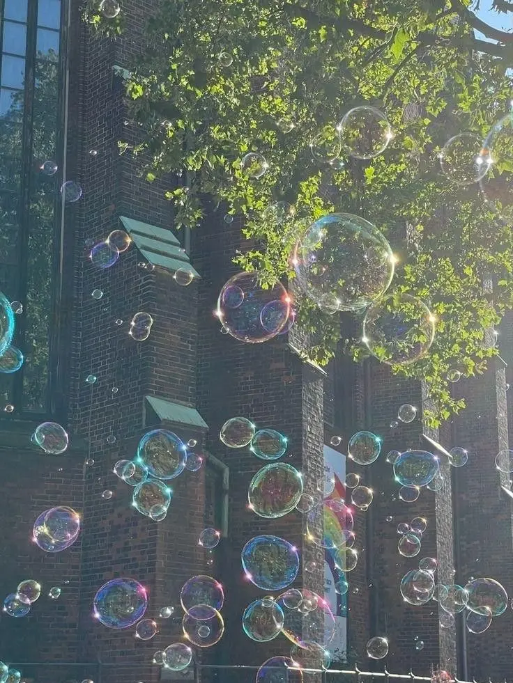 fkejtkfkdgo의 뜰팁 일진 고등학교