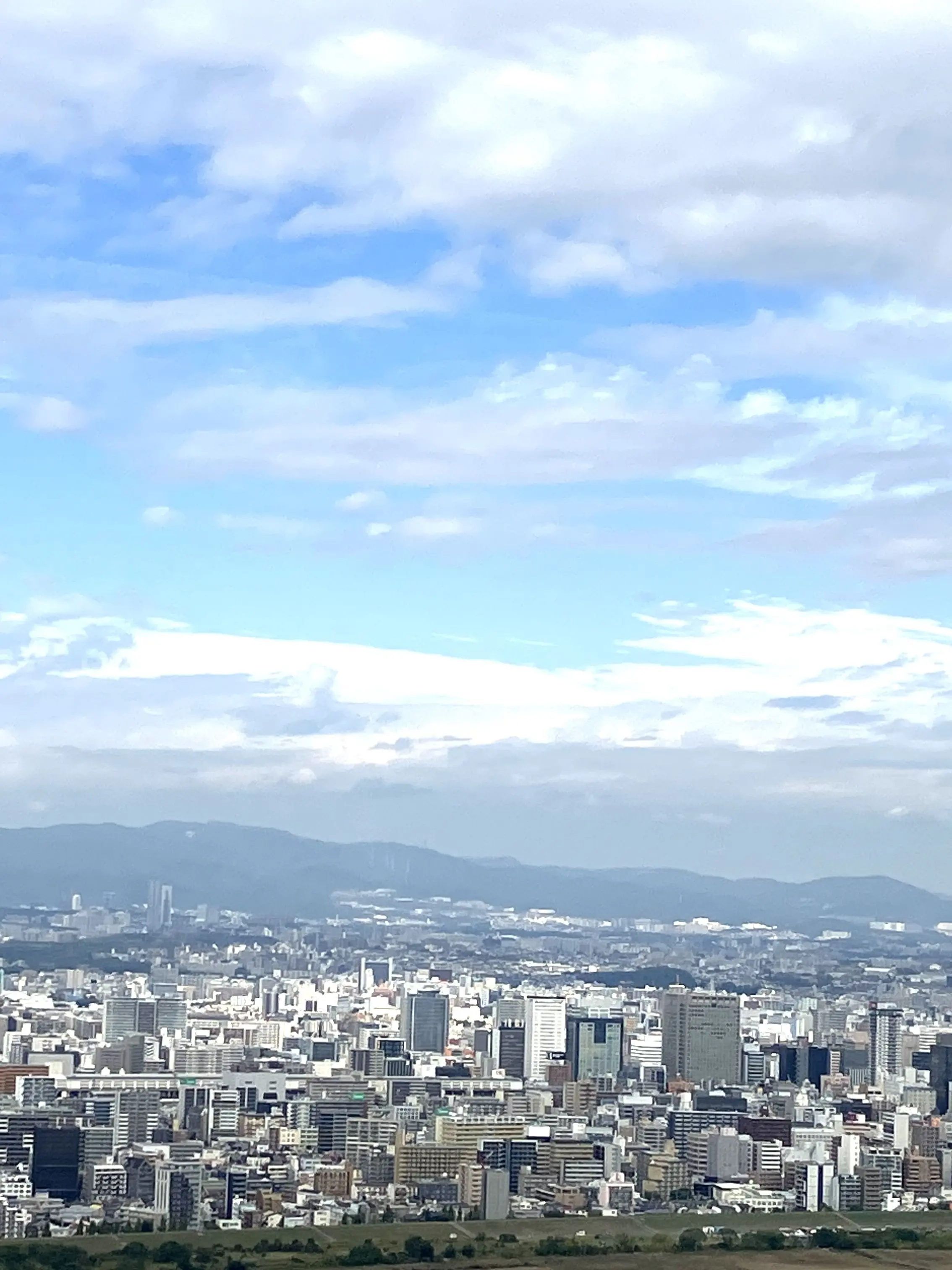 maaaatann0821의 大嫌いなのに！！