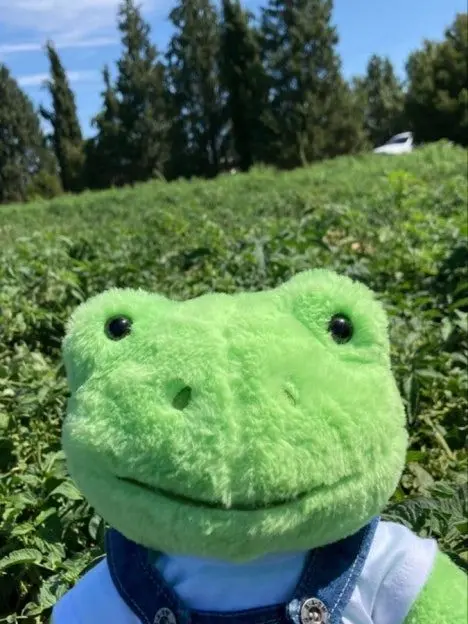 cloverfrog431413의 꿈만같은 여행과 만남