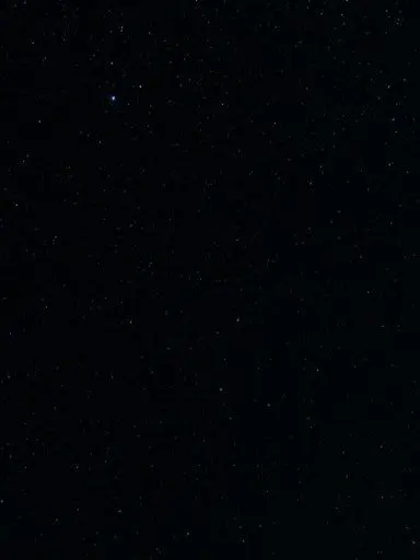 TrueNewt6800의 쇼트트랙팀