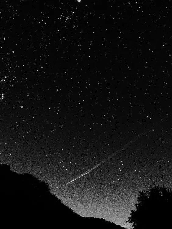 Wowsswws의 코마(오메가버스)