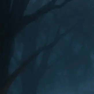 Alea-iacta-est.의 안개 낀 숲