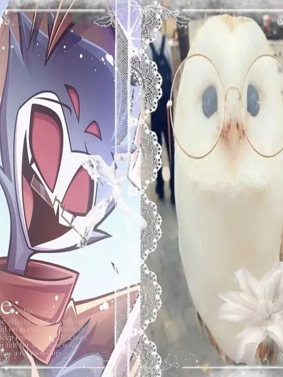 Iluvozzy06의 Stolas