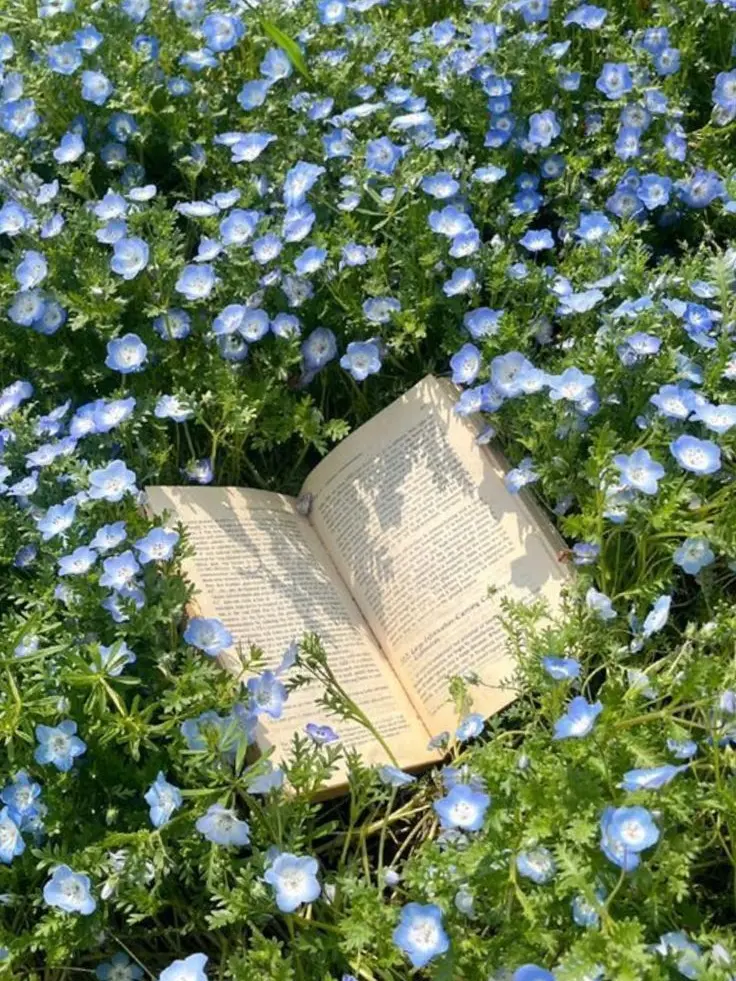 BoyfriendLove의 勘違いされた