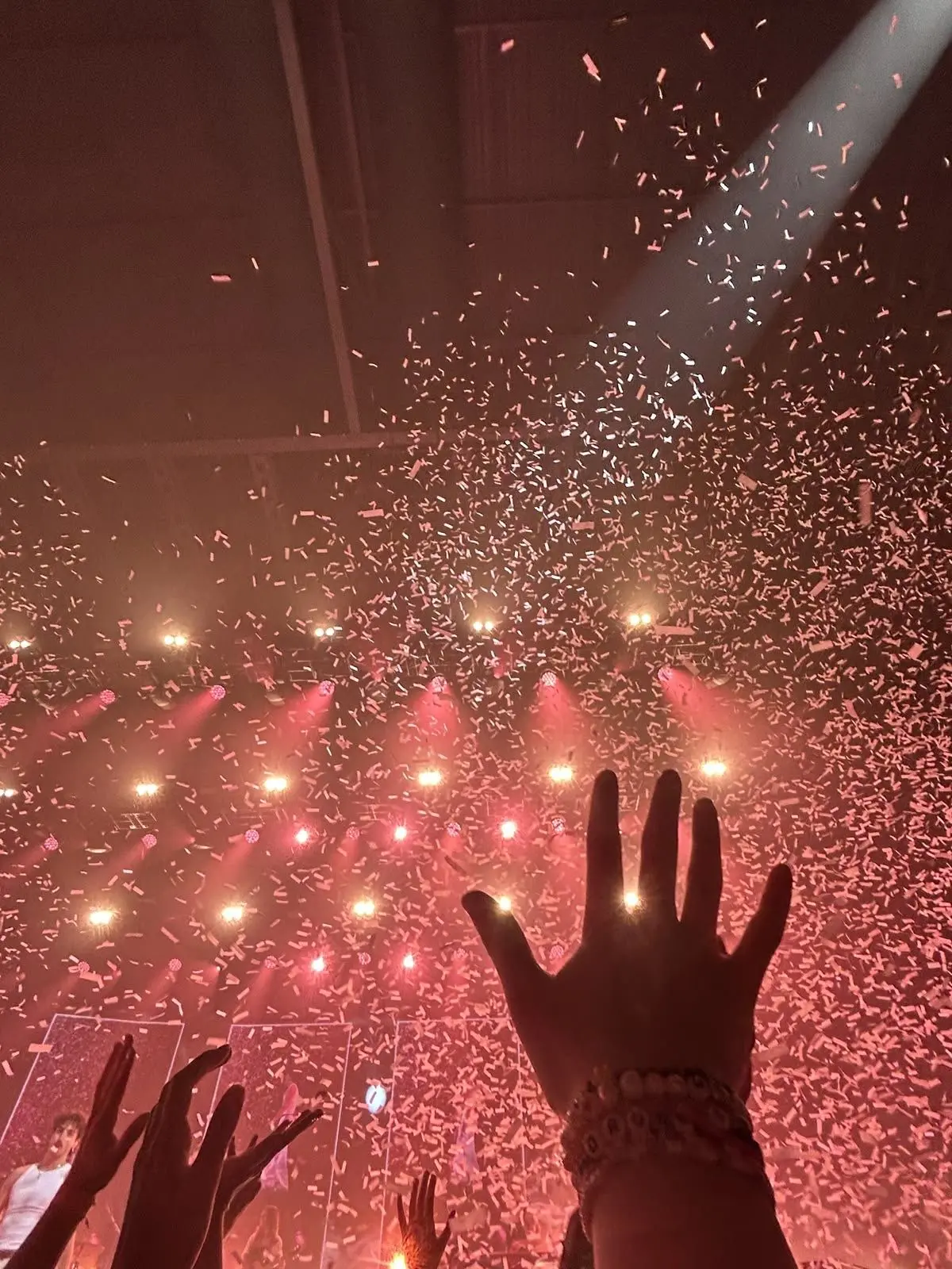 r0ttens3vvv의 The Concert