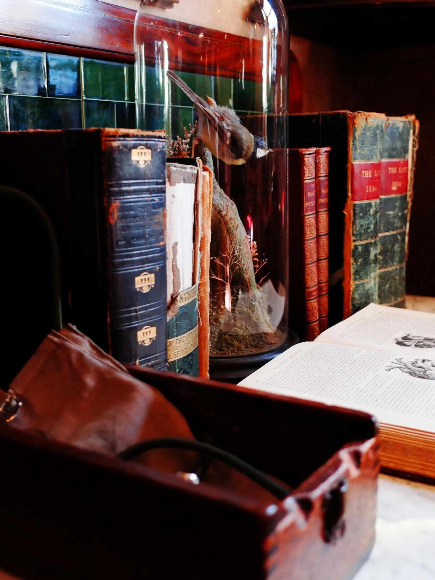 Vain_S.H.의 존 왓슨