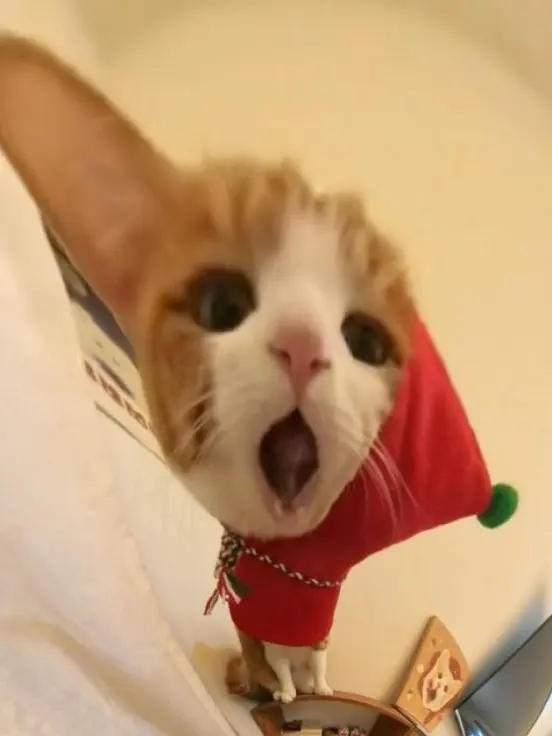 zetaaaaaac의 코드쿤스트