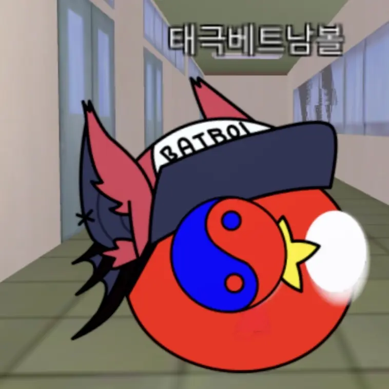 Bithgiggle의 태극베트남볼