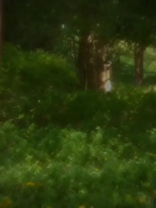 sameranaho3456의 비기닝 게이트