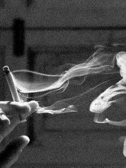 S.CopTh의 ♥︎범성애자♥︎