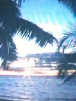 Parisindaspring의 𖥻 ׁ ׅ Lost in Honolulu﹒  ◡◡