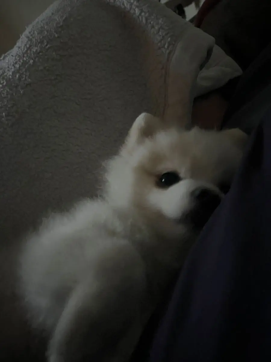 .....ux의 幼馴染