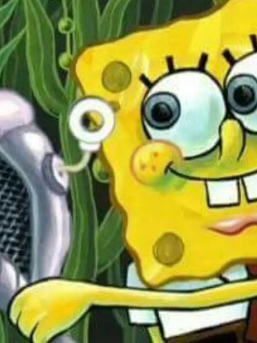 KindPotoo1399의 유튜버 MT