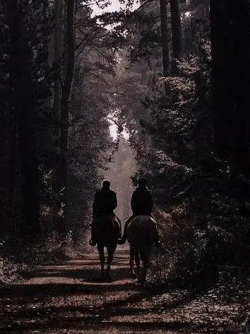 chips.and.salsa의 Desire Hidden by Armour