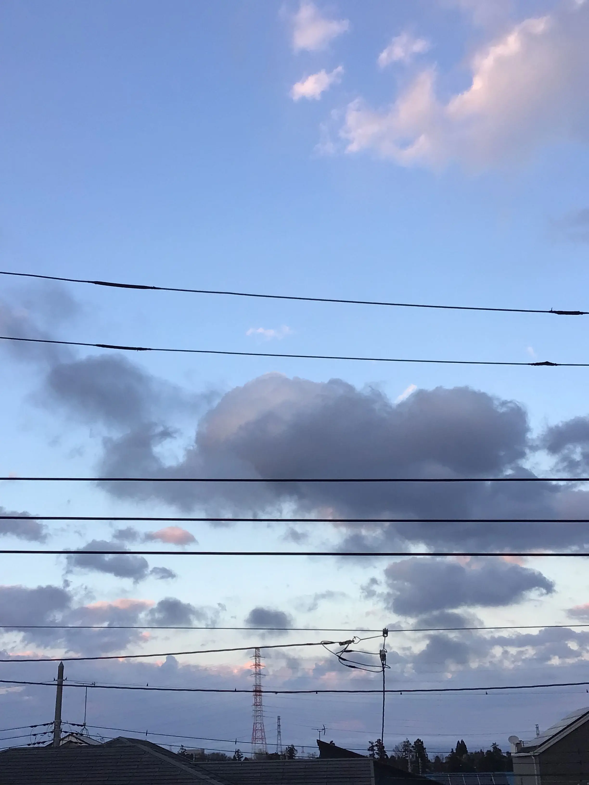 BoredKea3630의 僕の好きな人には彼氏がいます。