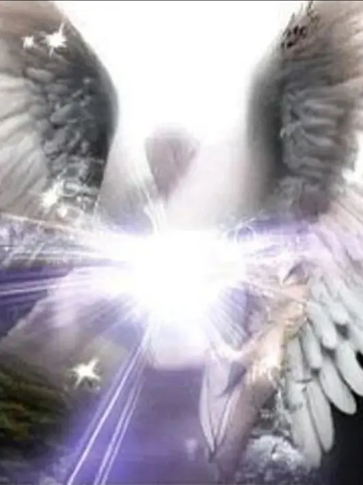 CrazyDog5347의 EDen