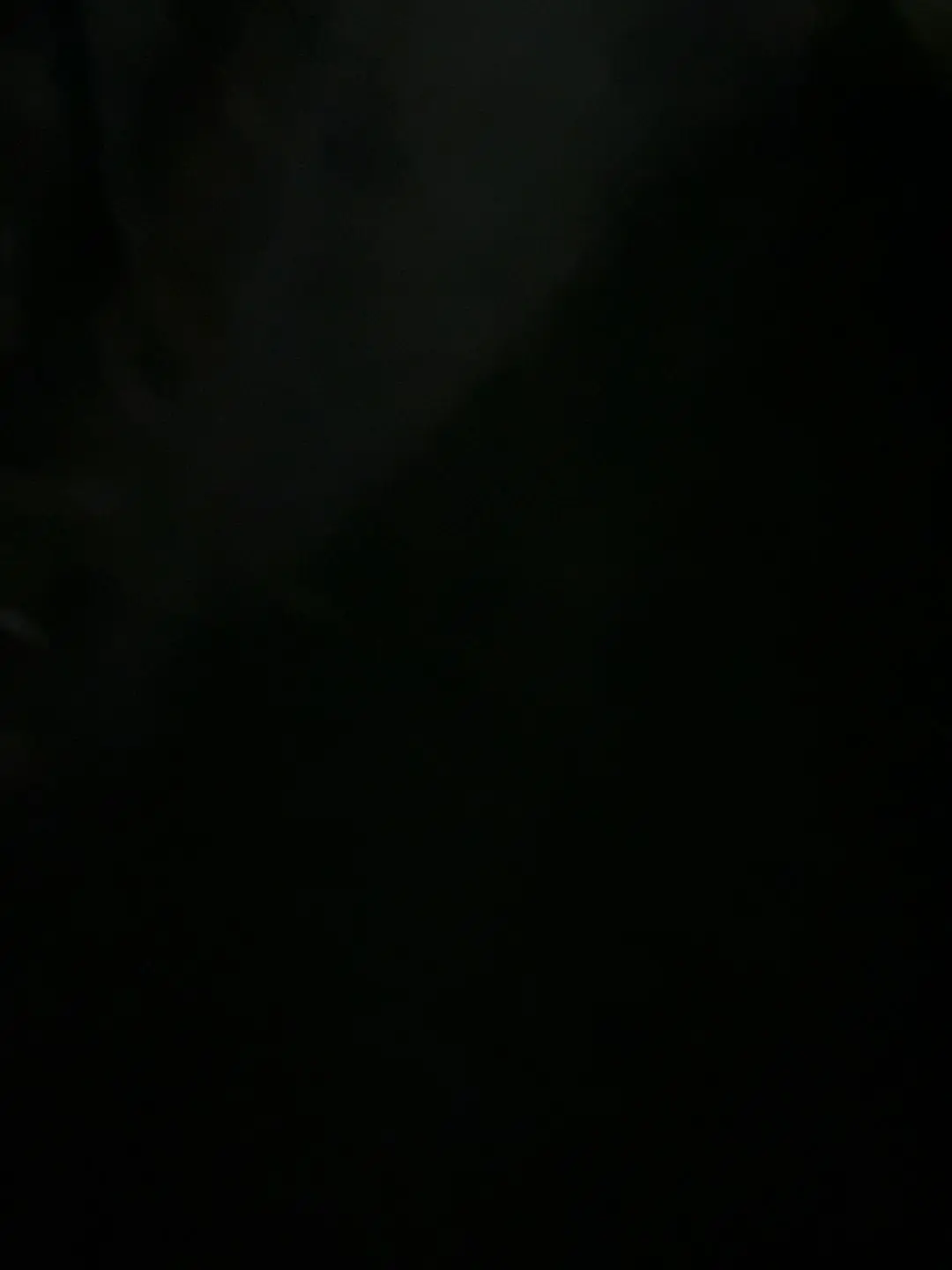 BEE_GDRAGON의 친오빠 빅뱅