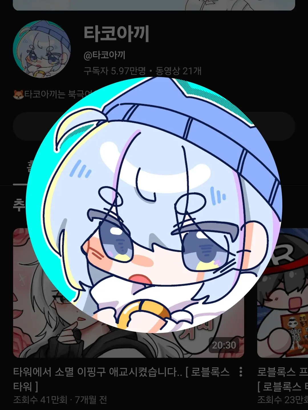 GoodPin9997의 꽥꽥탐험대랑 영화보기(여우+