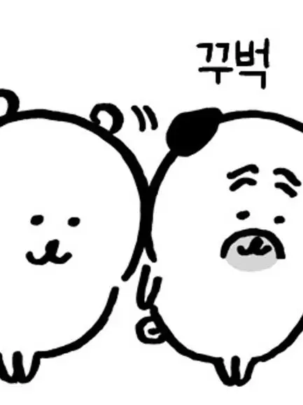 _sxu.h의 자유‼️