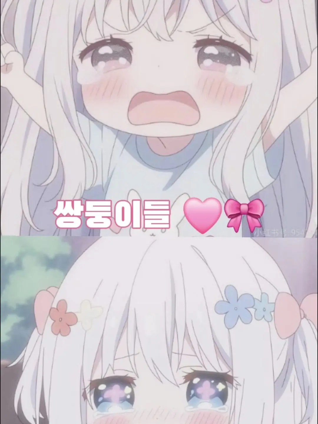 Nyanan의 울보 쌍둥이 🩷