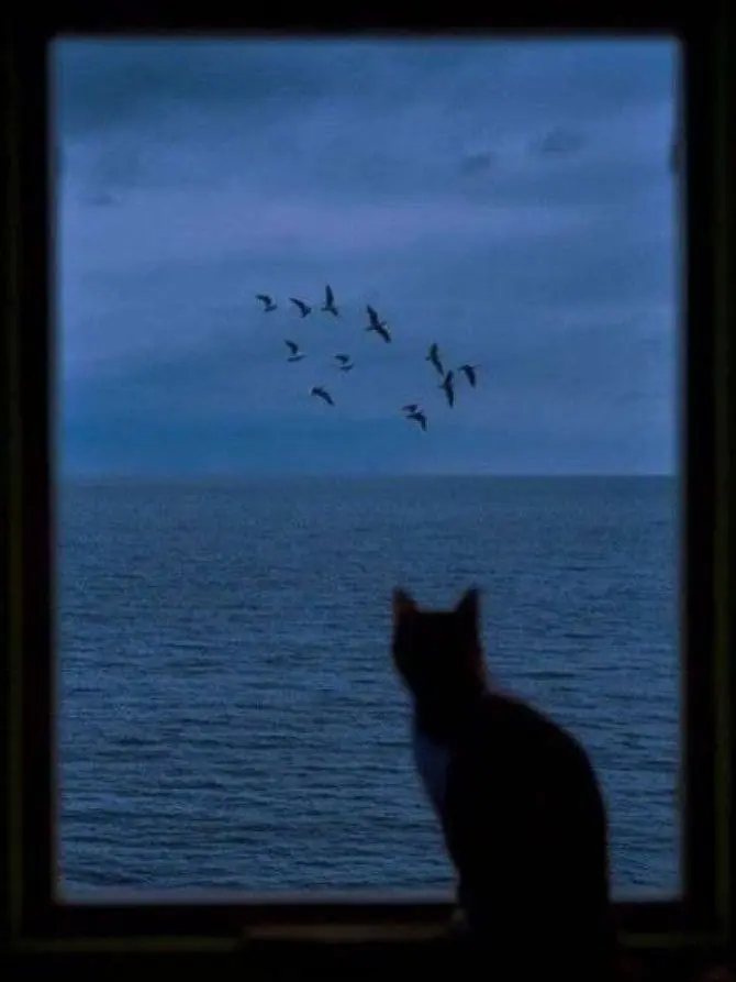 LowCave5280의 愛が重すぎるショタだ！？