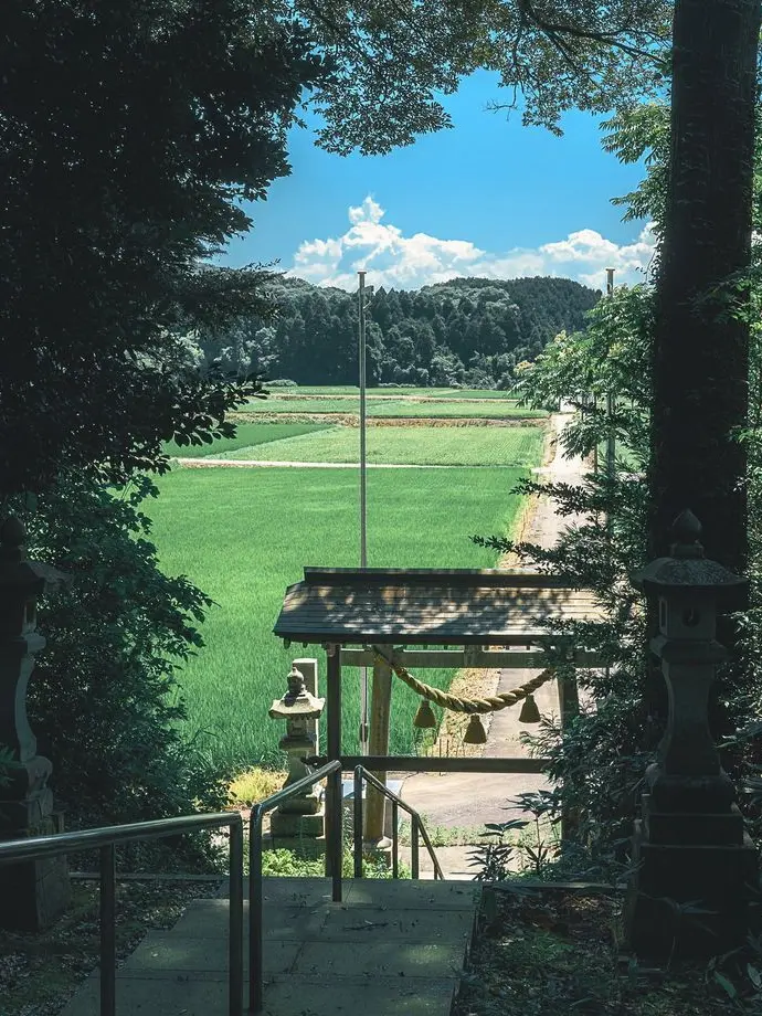 .0lqn_e의 もう  秋  ですネ   。🌾.*