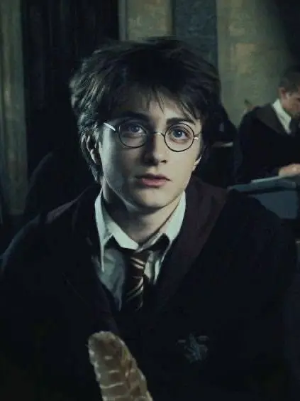 Motleycrueluver의 Harry potters sister