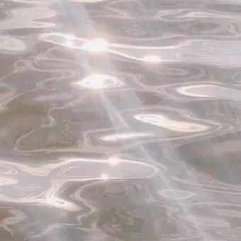 SleekGem6450의 남녀무리