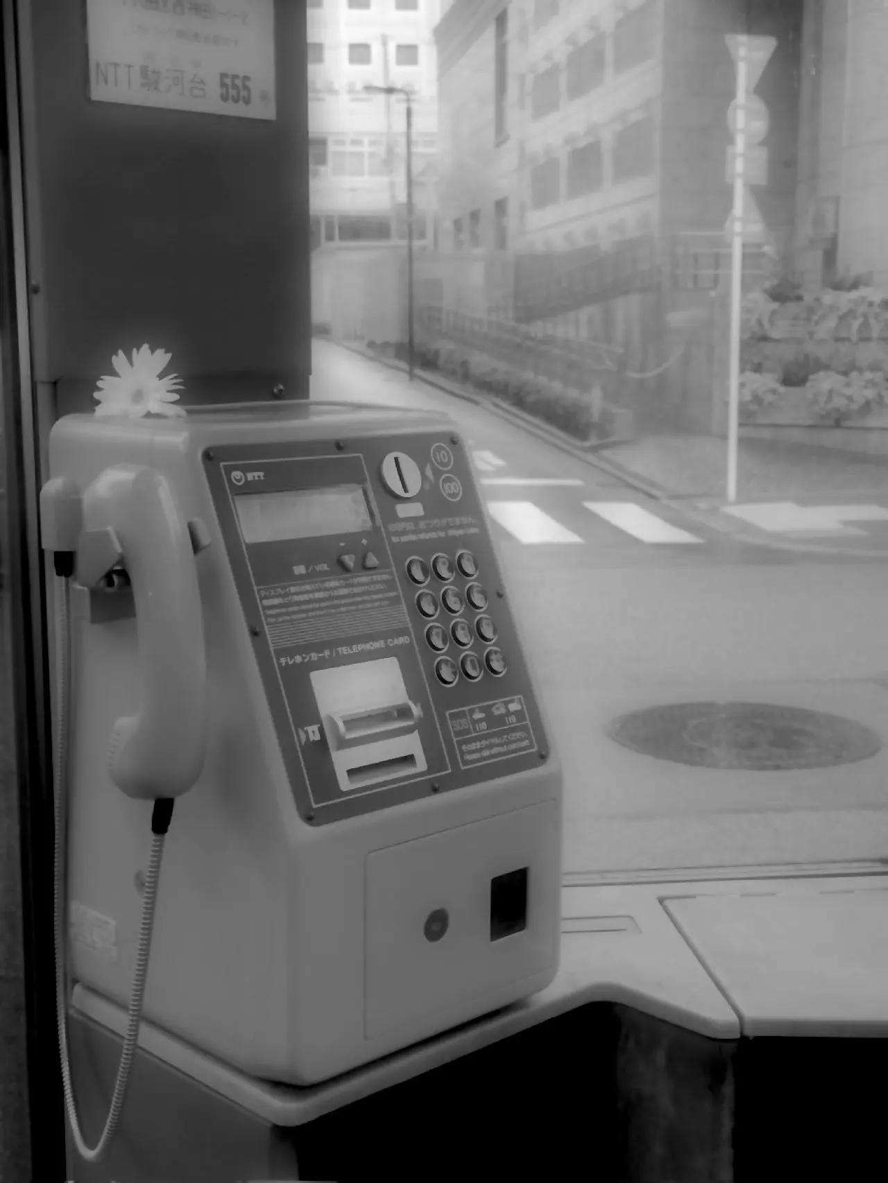 otaku_girl의 僕が全部教えてあげる。