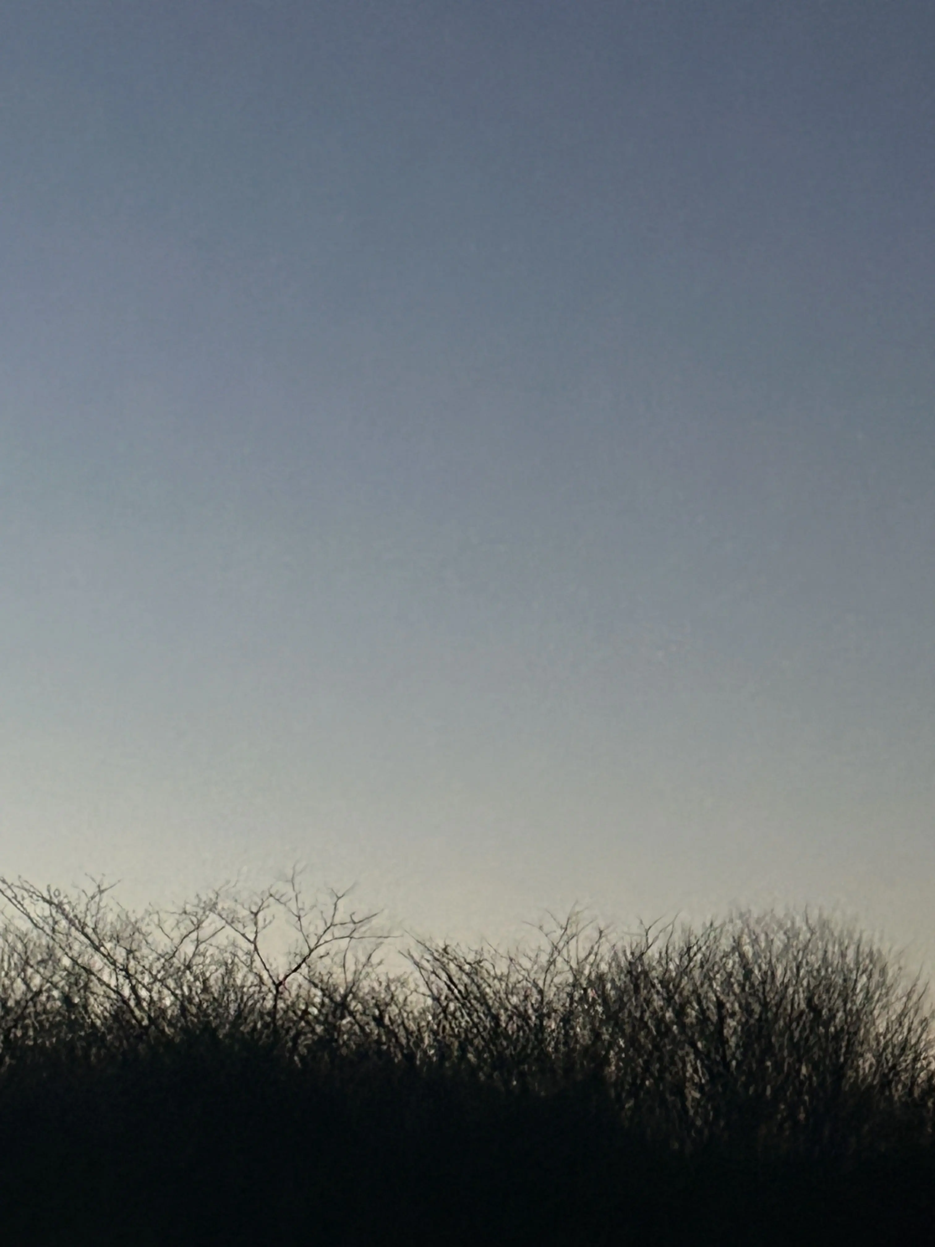 BlackJudge1653의 、