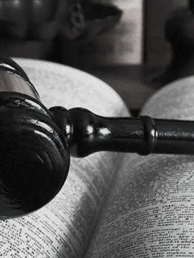 NOlSE의 악연인가? 필연인가?