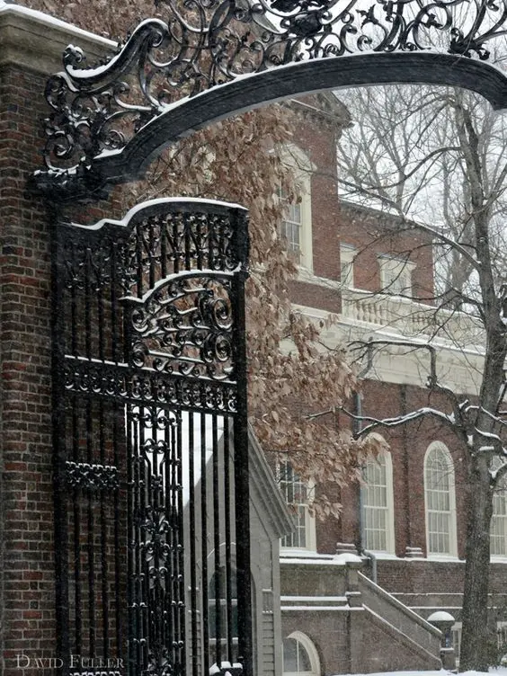 ki_e0000의 나랑 놀아줘