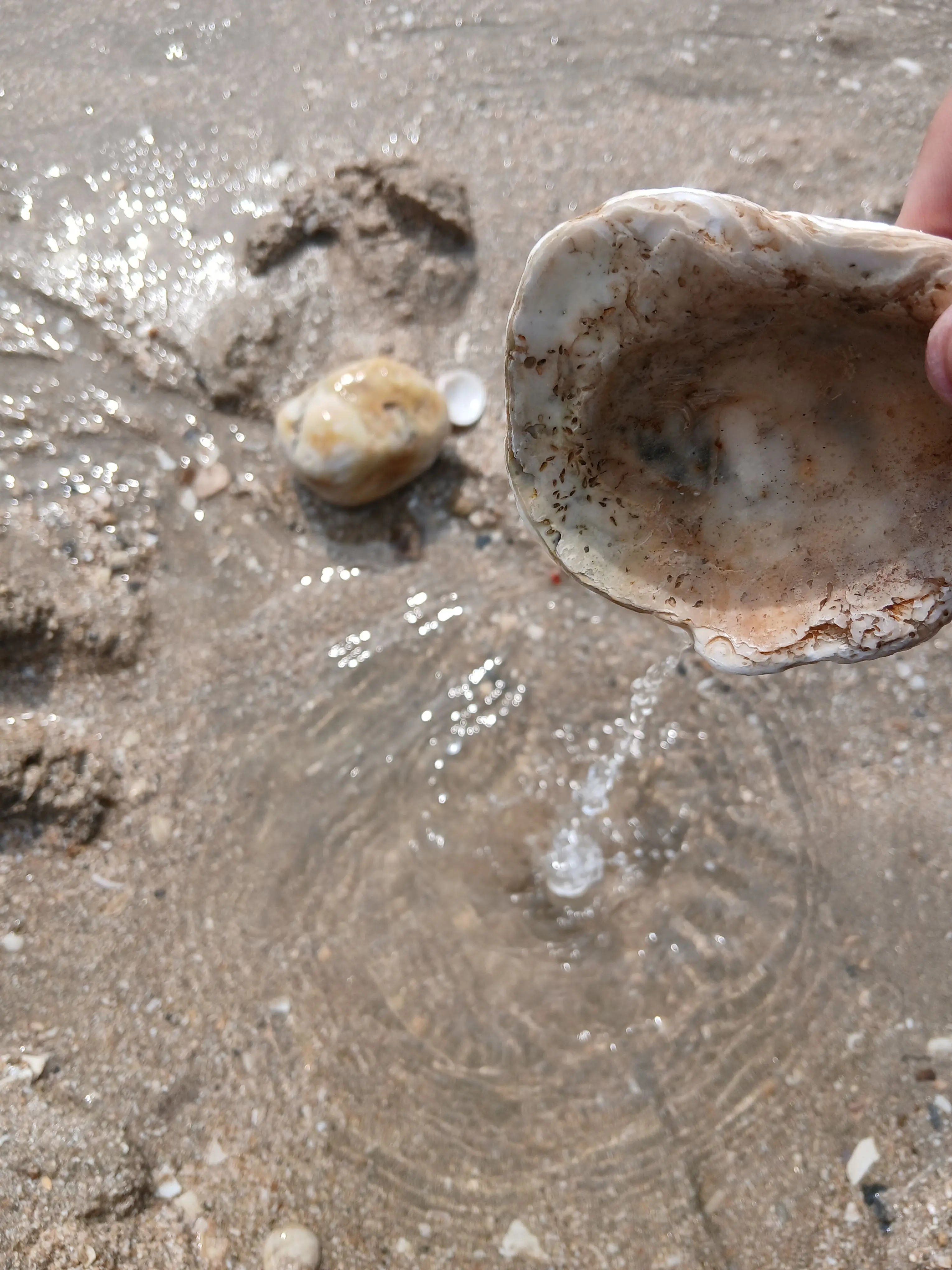 HighSage3561의 메이드복(비스트+에이션트