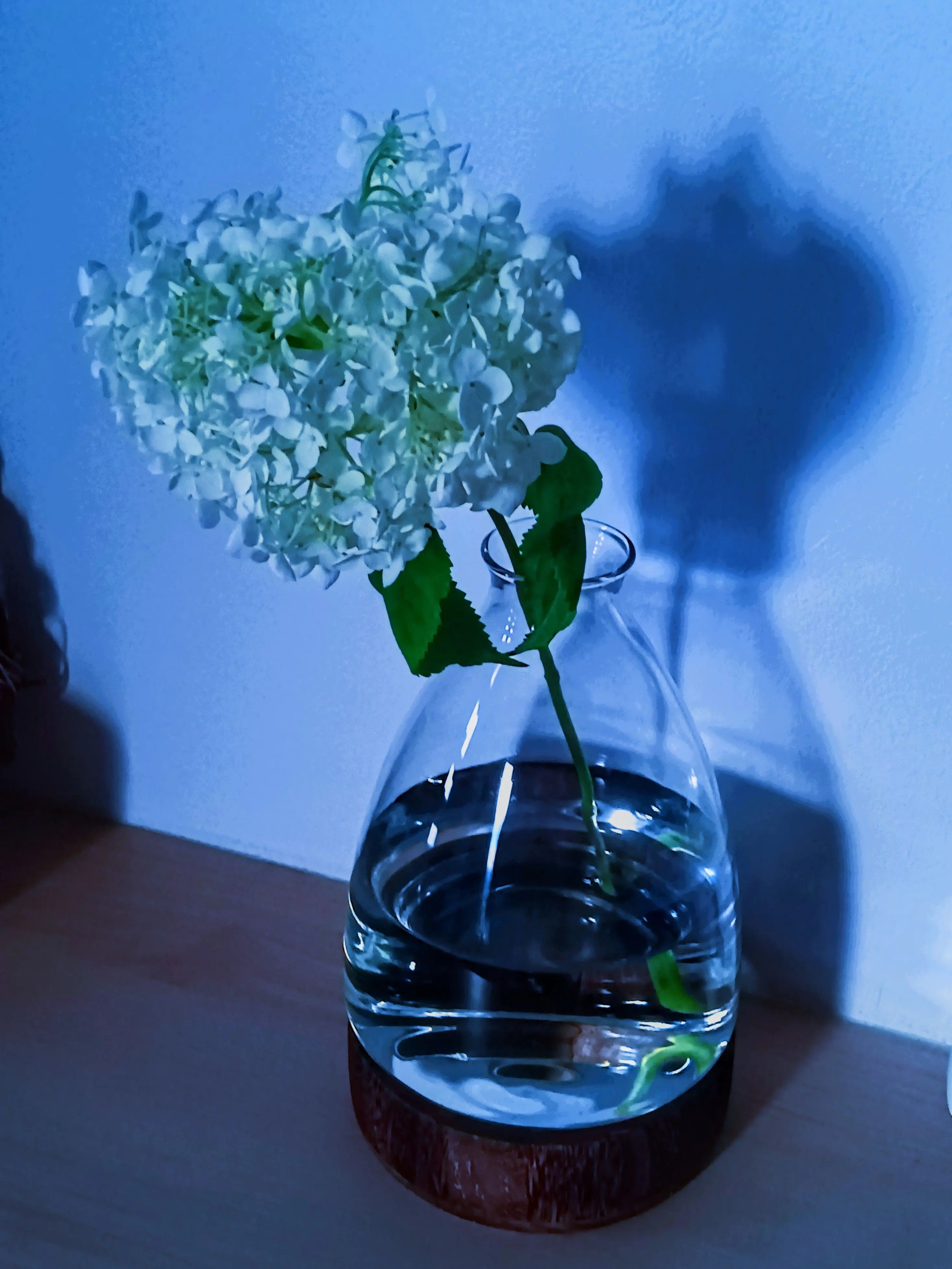 iwashiita0307의 ミステリと言う勿れ