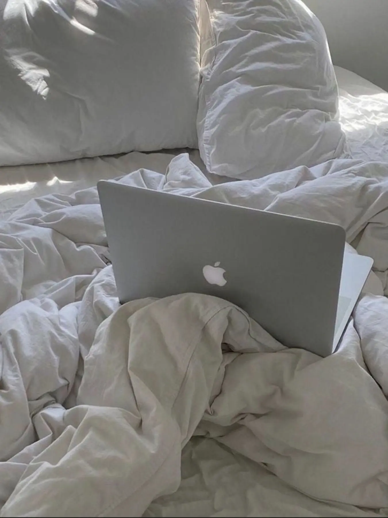 NoisyWolf9978의 {오비스트들} - [술]