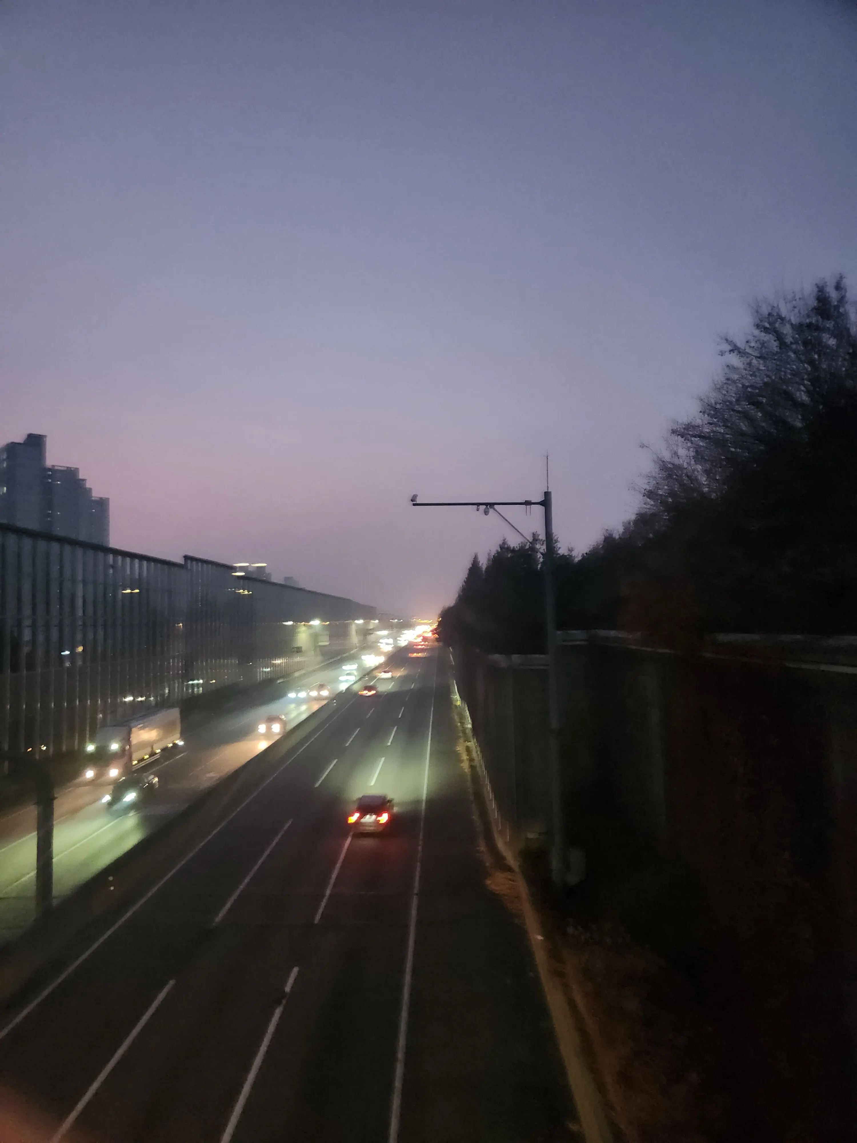 QuietWood3779의 권지용