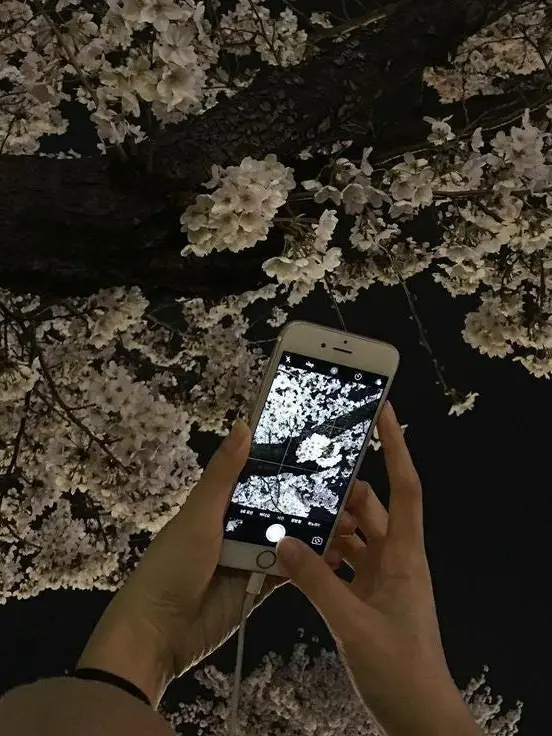 Wkdfkddl의 好きで