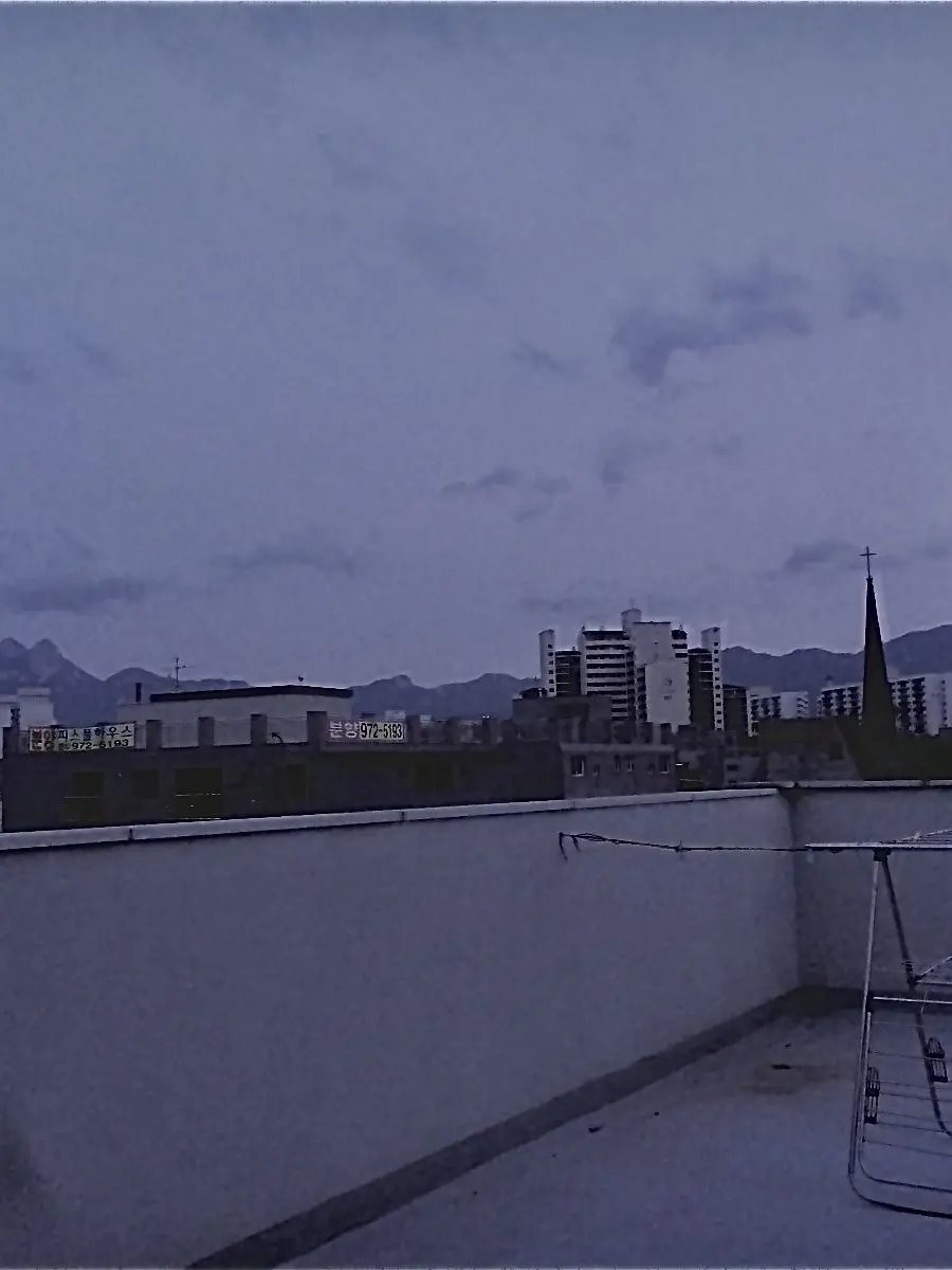 SlickBilby3815의 옥상에서 만난 HW