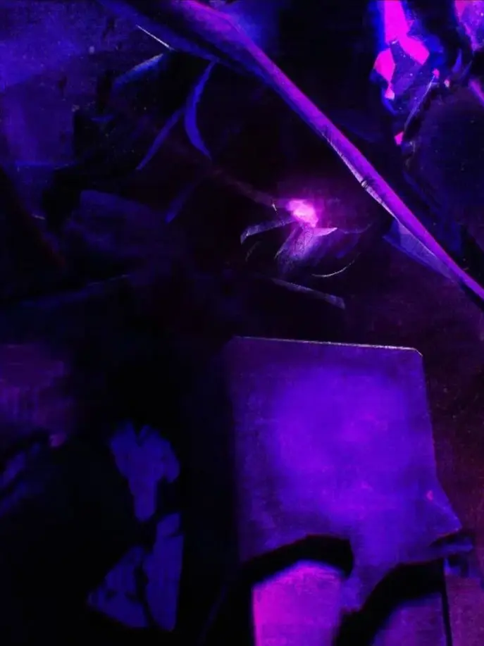 Piggyforsakennoob의 애저타임