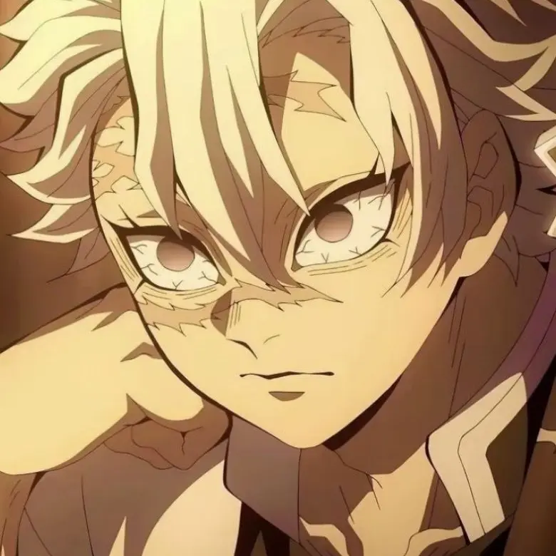 Hikarugajukenyerm의 귀멸 학원 사네미