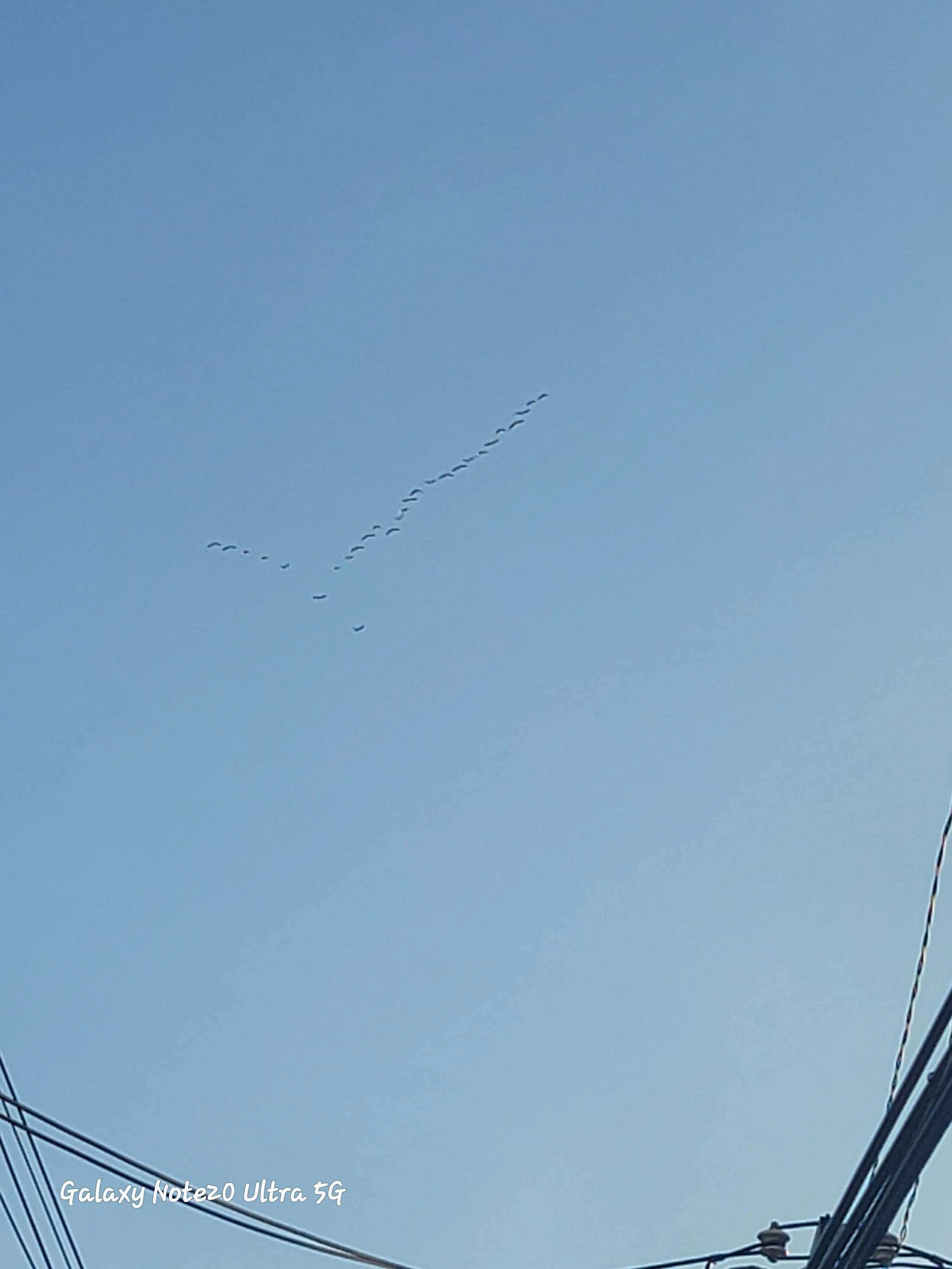 CAT_TAKI의 S급 마법사의 능력..☠️☠️(💩)