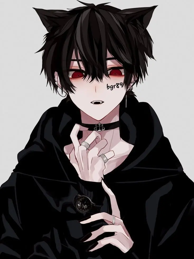 bgr89의 고양이 수인