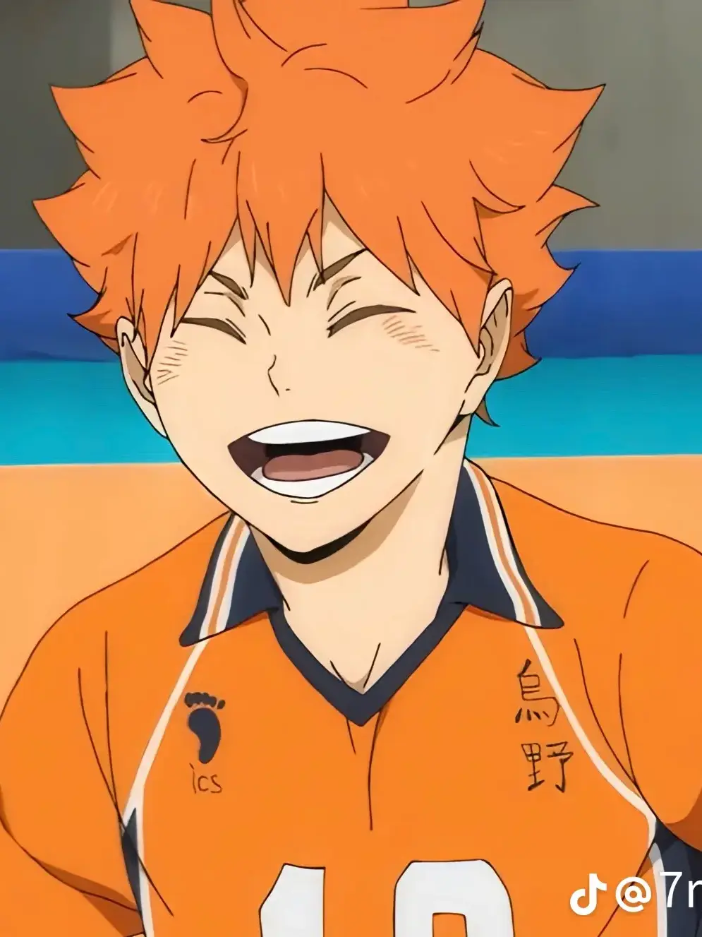 Mesi의 ハイキュー(ブリ子つき)