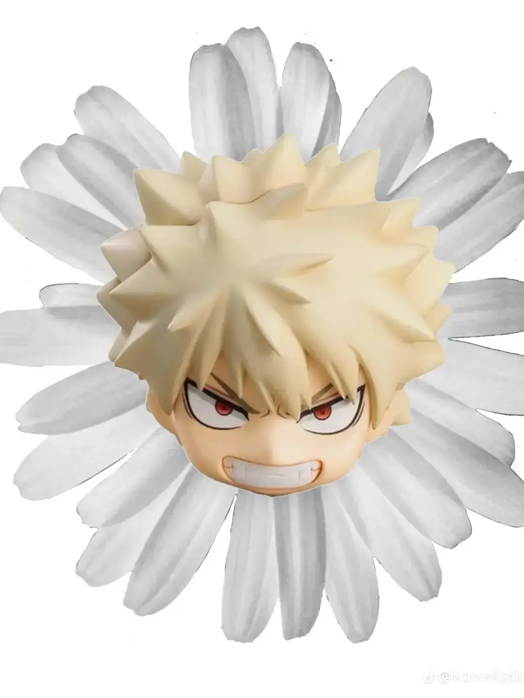 SturdyBaya0306의 Mha new student