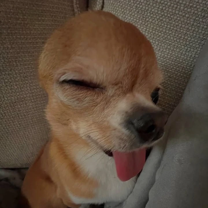 옆집 초딩 강녀
